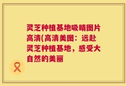 灵芝种植基地吸睛图片高清(高清美图：远赴灵芝种植基地，感受大自然的美丽
