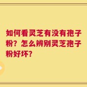 如何看灵芝有没有孢子粉？怎么辨别灵芝孢子粉好坏？