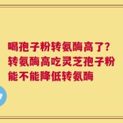 喝孢子粉转氨酶高了？转氨酶高吃灵芝孢子粉能不能降低转氨酶