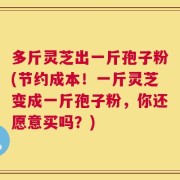 多斤灵芝出一斤孢子粉(节约成本！一斤灵芝变成一斤孢子粉，你还愿意买吗？)