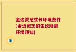 金边灵芝生长环境条件(金边灵芝的生长所需环境须知)