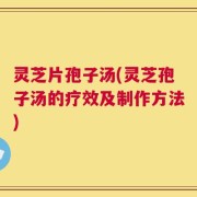 灵芝片孢子汤(灵芝孢子汤的疗效及制作方法)