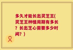 多久才能长出灵芝王(灵芝王种植周期有多长？长出芝心需要多少时间？)