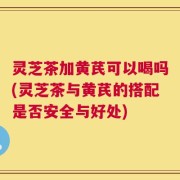 灵芝茶加黄芪可以喝吗(灵芝茶与黄芪的搭配是否安全与好处)