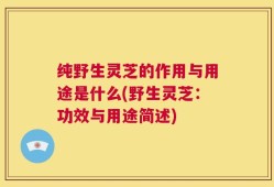 纯野生灵芝的作用与用途是什么(野生灵芝：功效与用途简述)