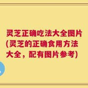 灵芝正确吃法大全图片(灵芝的正确食用方法大全，配有图片参考)