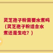 灵芝孢子粉需要水煮吗 (灵芝孢子粉适合水煮还是生吃？)