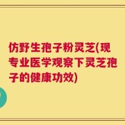 仿野生孢子粉灵芝(现专业医学观察下灵芝孢子的健康功效)