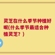 灵芝在什么季节种植好呢(什么季节最适合种植灵芝？)