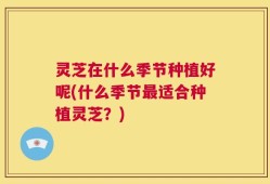 灵芝在什么季节种植好呢(什么季节最适合种植灵芝？)