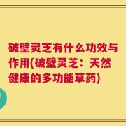 破壁灵芝有什么功效与作用(破壁灵芝：天然健康的多功能草药)