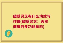 破壁灵芝有什么功效与作用(破壁灵芝：天然健康的多功能草药)