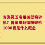 青海灵芝专用破壁粉碎机？普莱申超微粉碎机1000目是什么概念