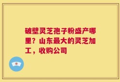 破壁灵芝孢子粉盛产哪里？山东最大的灵芝加工，收购公司