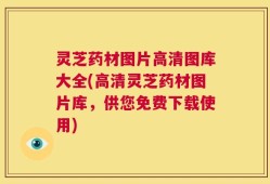 灵芝药材图片高清图库大全(高清灵芝药材图片库，供您免费下载使用)