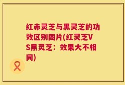 红赤灵芝与黑灵芝的功效区别图片(红灵芝VS黑灵芝：效果大不相同)