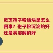 灵芝孢子粉结块是怎么回事？孢子粉沉淀的好还是易溶解的好