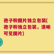孢子粉图片独立包装(孢子粉独立包装，清晰可见图片)
