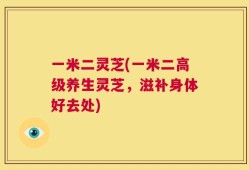 一米二灵芝(一米二高级养生灵芝，滋补身体好去处)