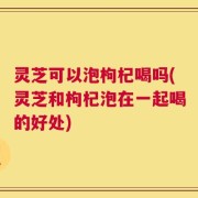 灵芝可以泡枸杞喝吗(灵芝和枸杞泡在一起喝的好处)