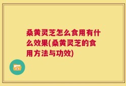 桑黄灵芝怎么食用有什么效果(桑黄灵芝的食用方法与功效)