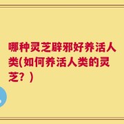 哪种灵芝辟邪好养活人类(如何养活人类的灵芝？)
