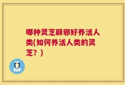 哪种灵芝辟邪好养活人类(如何养活人类的灵芝？)