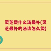 灵芝煲什么汤最补(灵芝最补的汤该怎么煲)