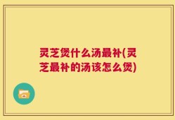 灵芝煲什么汤最补(灵芝最补的汤该怎么煲)