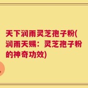天下润雨灵芝孢子粉(润雨天赐：灵芝孢子粉的神奇功效)