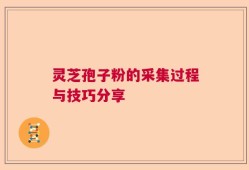 灵芝孢子粉的采集过程与技巧分享