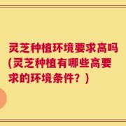 灵芝种植环境要求高吗(灵芝种植有哪些高要求的环境条件？)