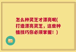怎么种灵芝才漂亮呢(打造漂亮灵芝，这些种植技巧你必须掌握！)