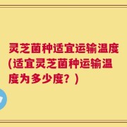 灵芝菌种适宜运输温度(适宜灵芝菌种运输温度为多少度？)