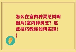 怎么在室内种灵芝树呢图片(室内种灵芝？这些技巧教你如何实现！)