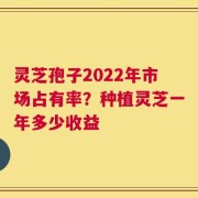 灵芝孢子2022年市场占有率？种植灵芝一年多少收益