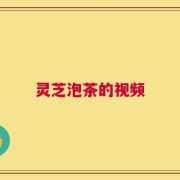 灵芝泡茶的视频