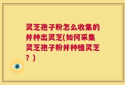 灵芝孢子粉怎么收集的并种出灵芝(如何采集灵芝孢子粉并种植灵芝？)