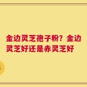金边灵芝孢子粉？金边灵芝好还是赤灵芝好