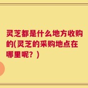 灵芝都是什么地方收购的(灵芝的采购地点在哪里呢？)