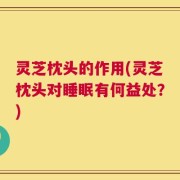 灵芝枕头的作用(灵芝枕头对睡眠有何益处？)