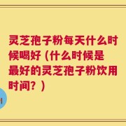 灵芝孢子粉每天什么时候喝好 (什么时候是最好的灵芝孢子粉饮用时间？)