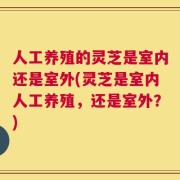 人工养殖的灵芝是室内还是室外(灵芝是室内人工养殖，还是室外？)