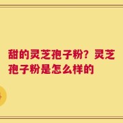 甜的灵芝孢子粉？灵芝孢子粉是怎么样的