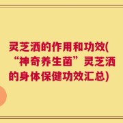 灵芝洒的作用和功效(“神奇养生菌”灵芝洒的身体保健功效汇总)