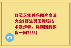 野灵芝能种吗图片高清大全(野生灵芝栽培技术及步骤，详细图解教程一网打尽)