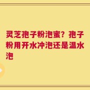 灵芝孢子粉泡蜜？孢子粉用开水冲泡还是温水泡