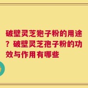 破壁灵芝狍子粉的用途？破壁灵芝孢子粉的功效与作用有哪些