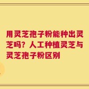 用灵芝孢子粉能种出灵芝吗？人工种植灵芝与灵芝孢子粉区别