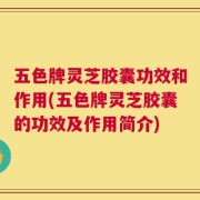 五色牌灵芝胶囊功效和作用(五色牌灵芝胶囊的功效及作用简介)